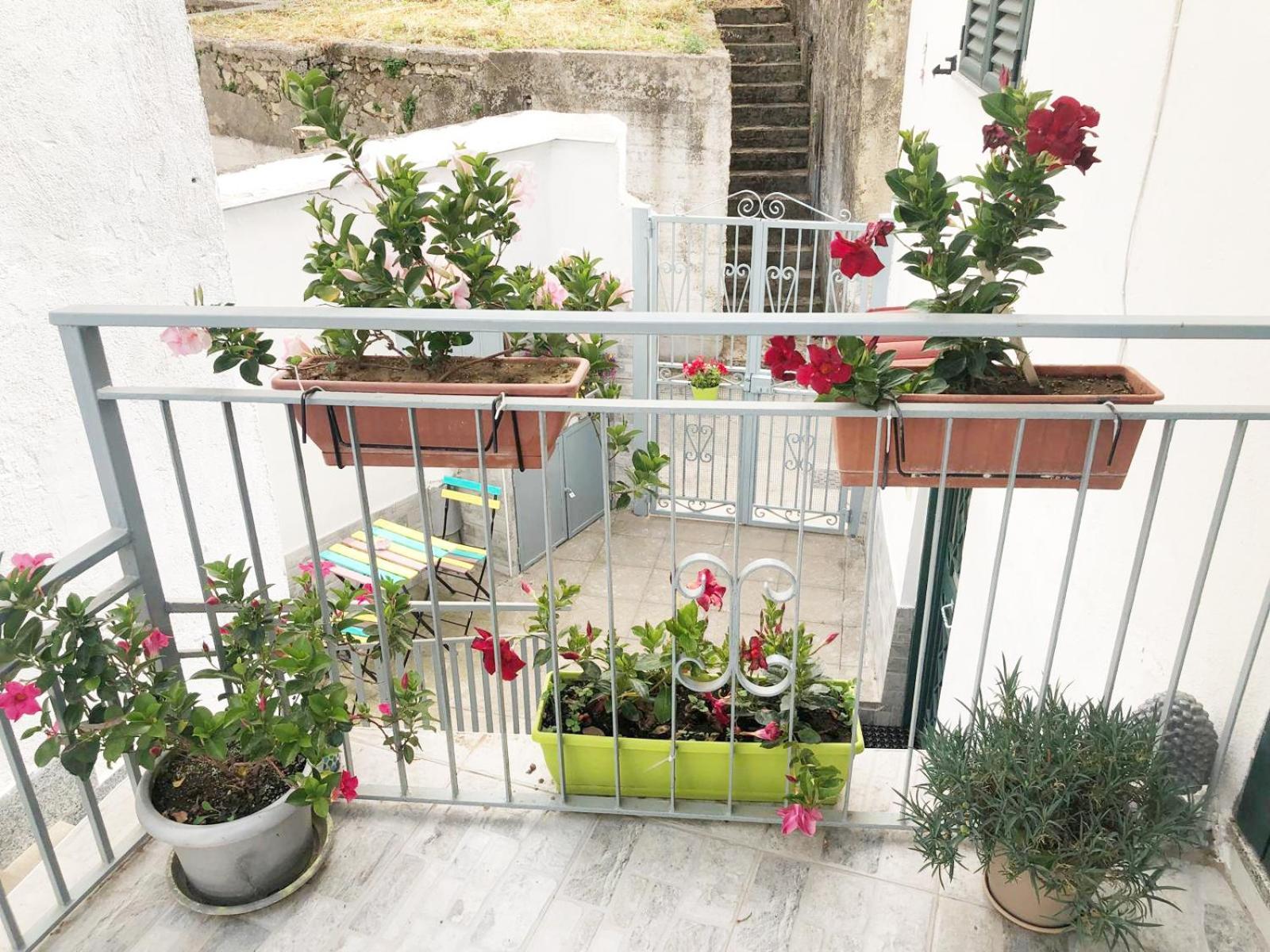 Amalfi Coast Casa Vacanze Marino 特拉蒙蒂 外观 照片
